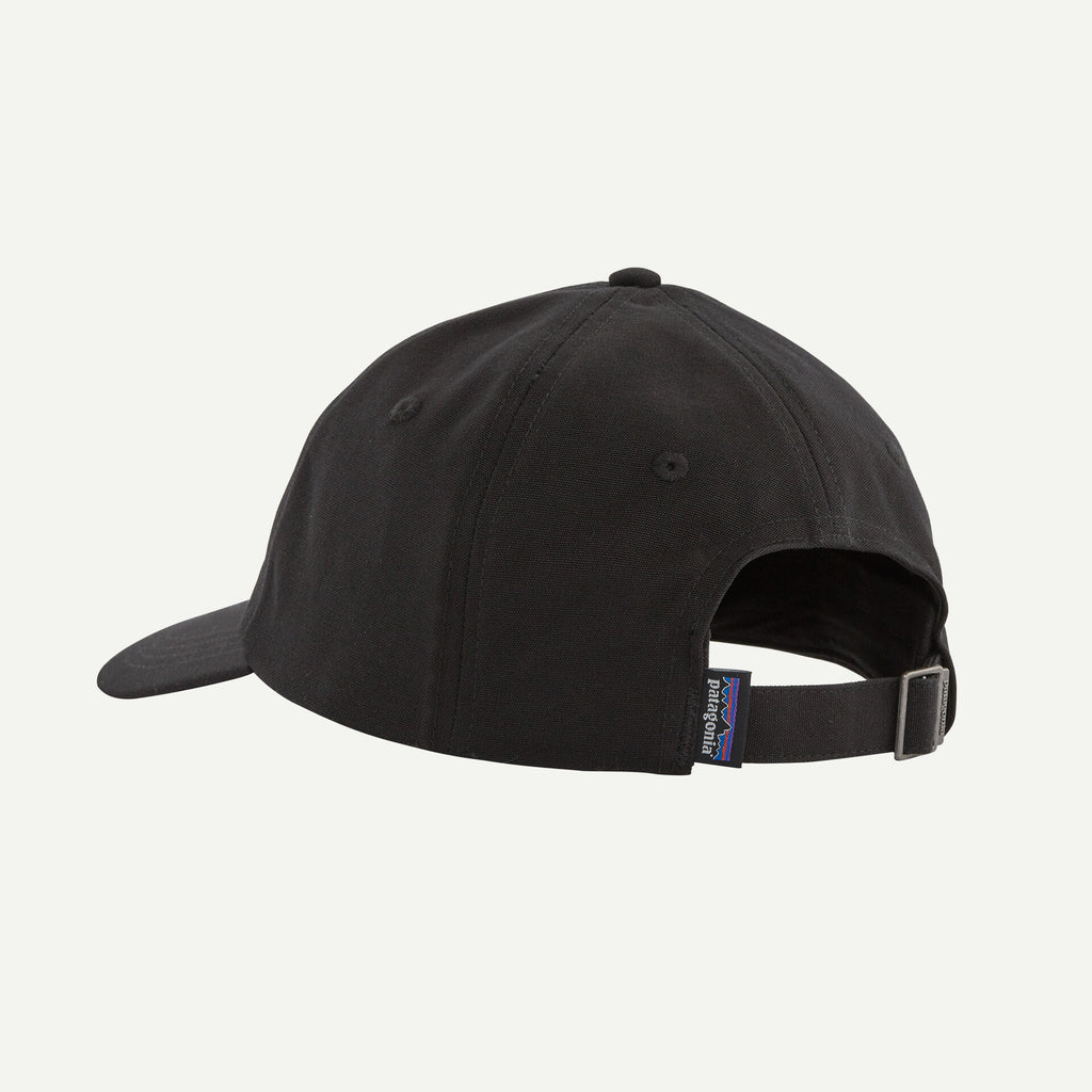 PATAGONIA P-6 Label Trad Cap